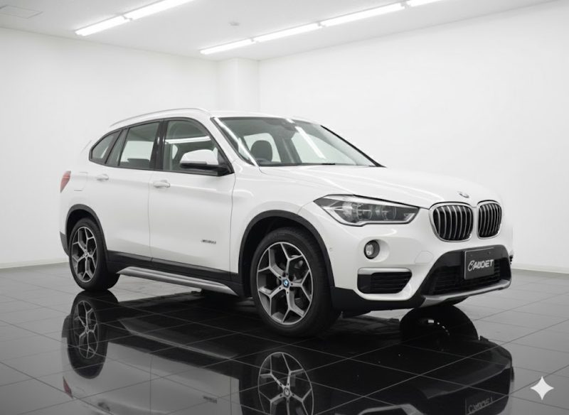 BMW X1 xDrive 18d M Sport 2020