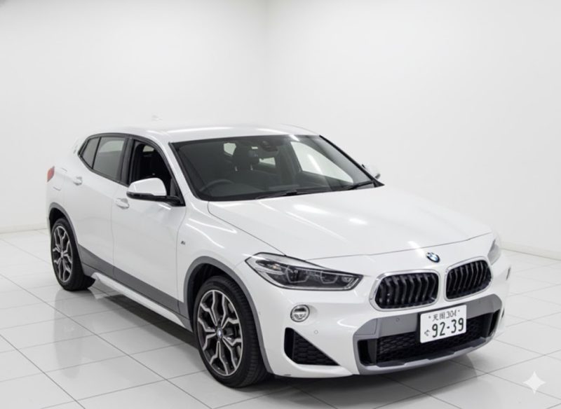 BMW X2 xDrive 18d M Sport X (F39) 2019